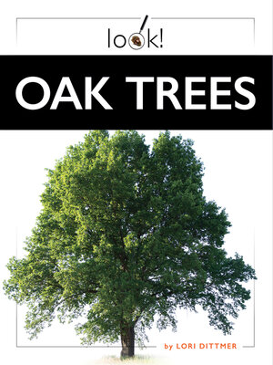 cover image of Oak Trees